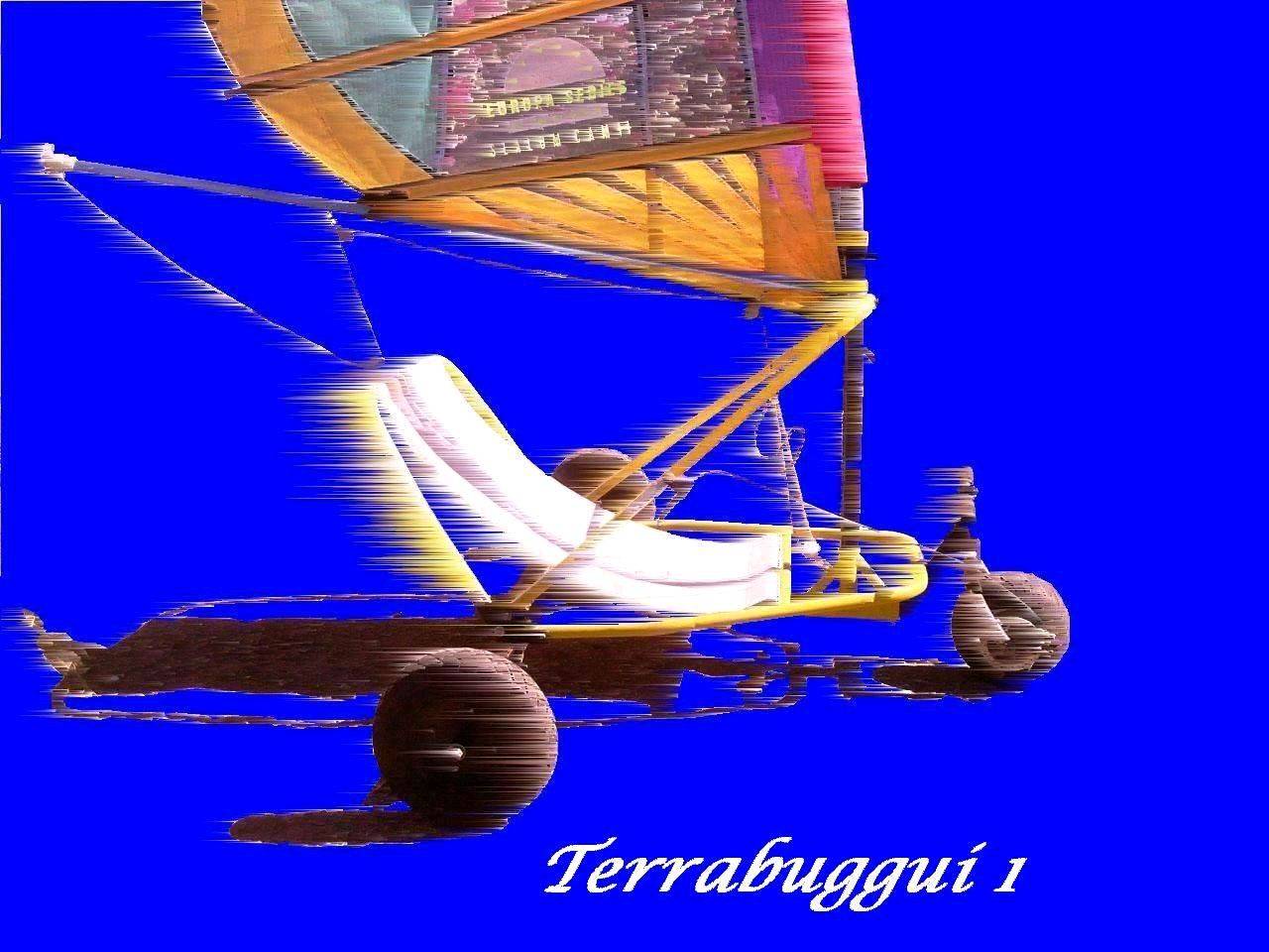 TERRABUGGI BLUE