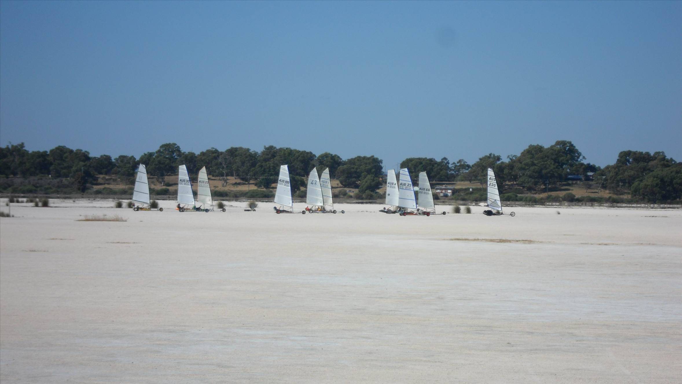 class5 sandgropers