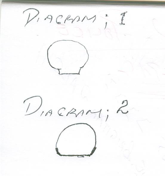 scan