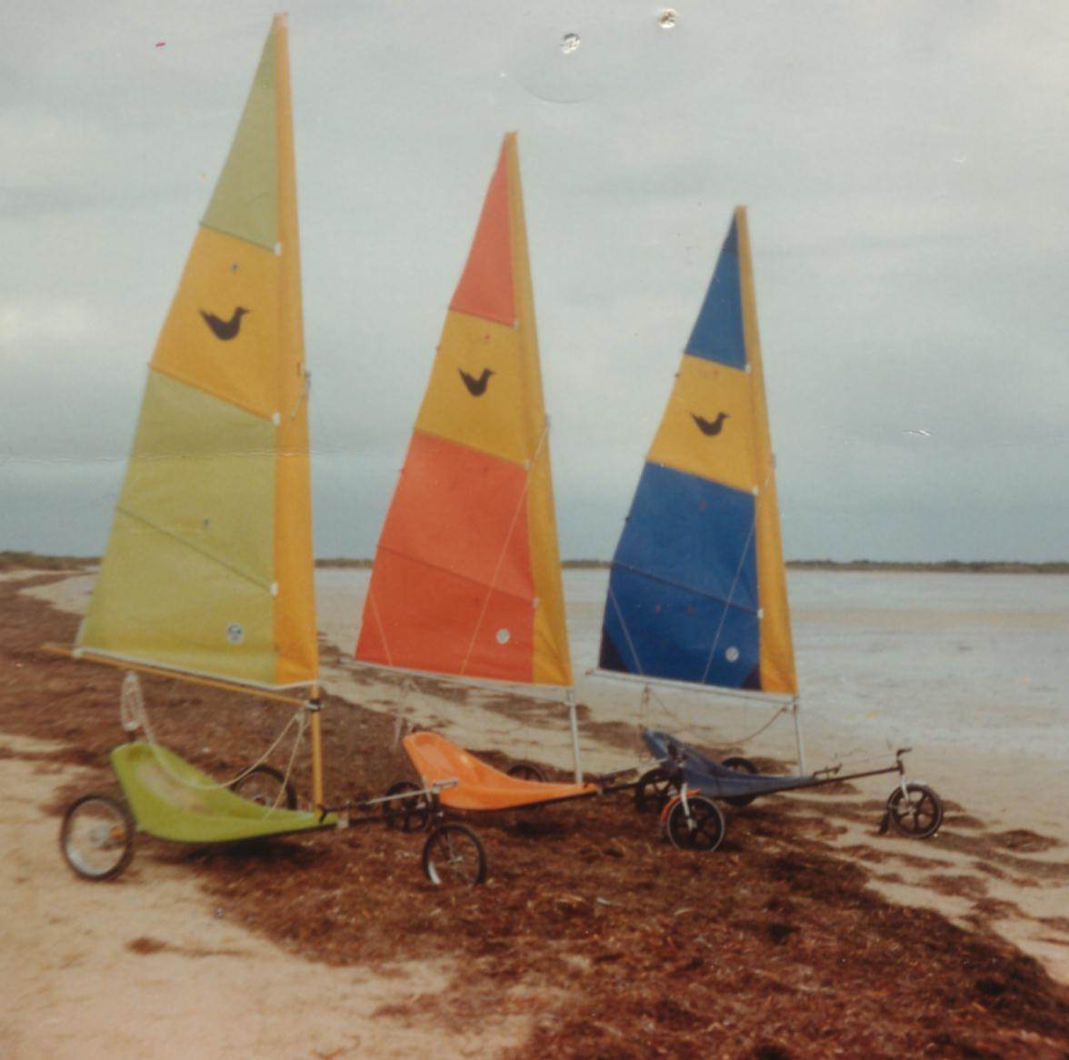 Sandpipers (1984)
