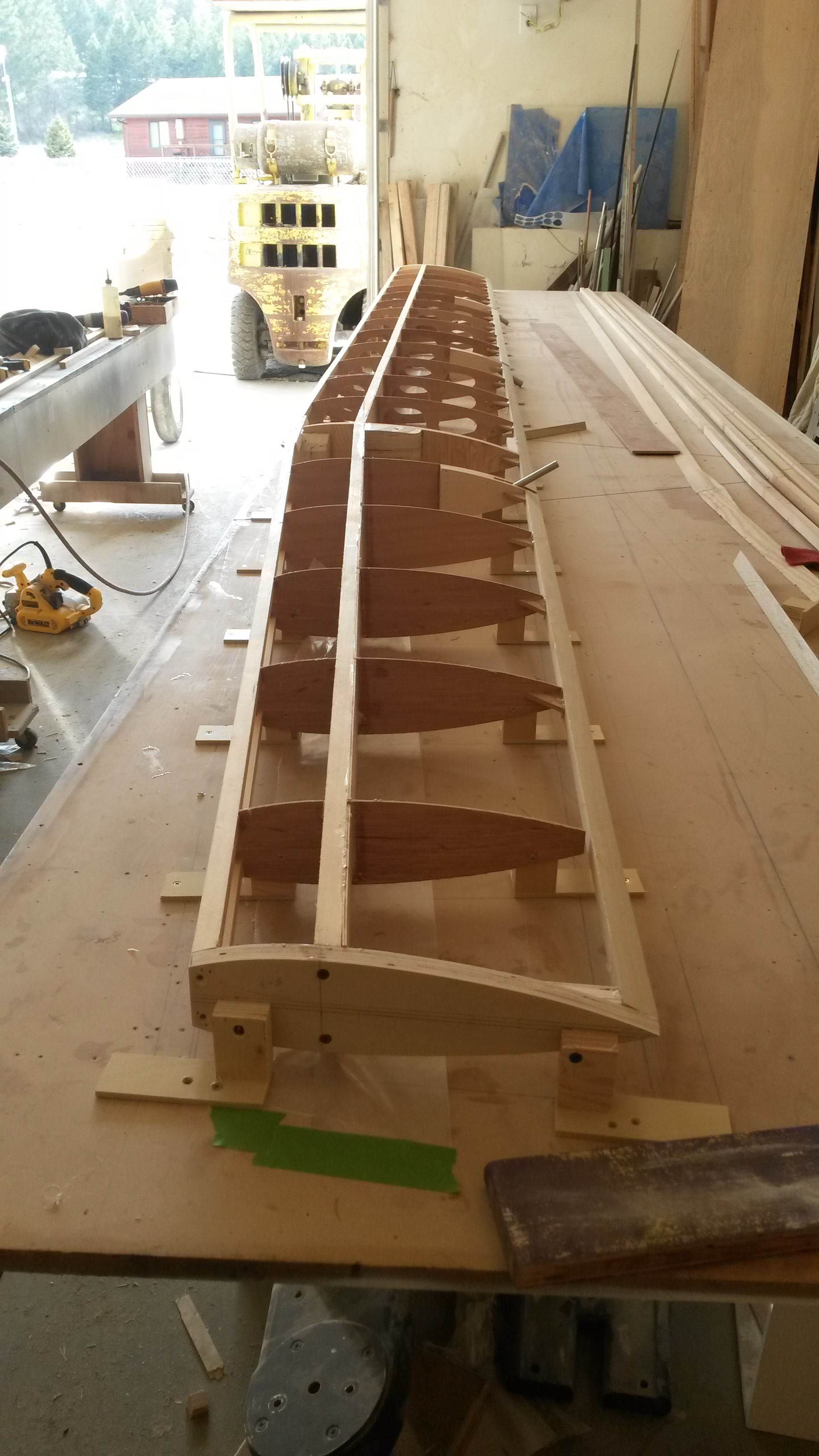 Wingnut lll class 3 wing