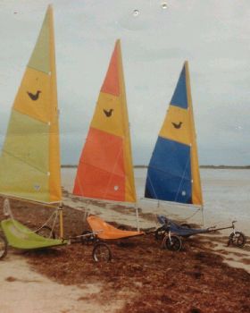 Sandpipers (1984)
