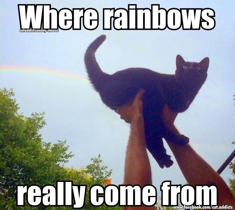 rainbow