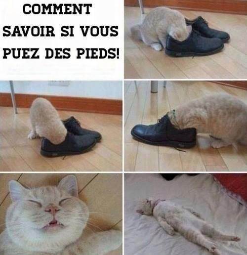 stinky feet