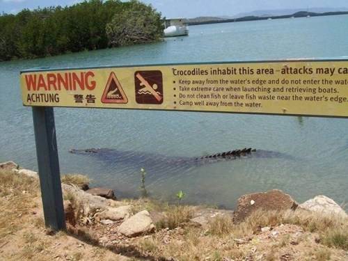 classic australian signs (16 photos) - 10