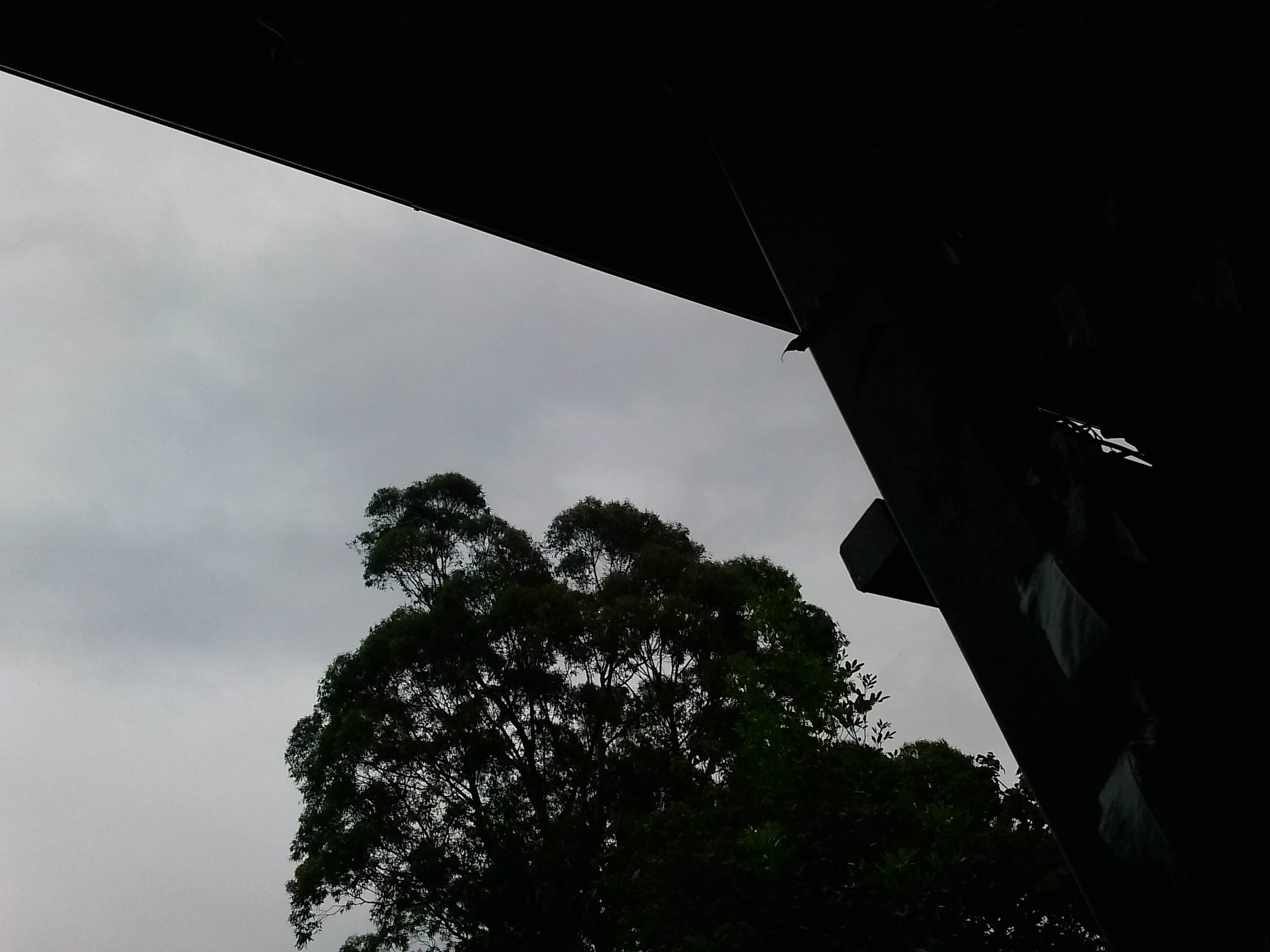 CAM01171