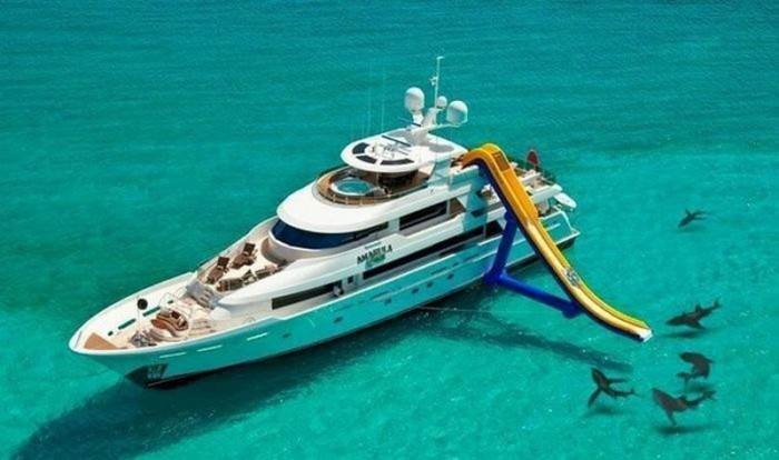 sharky-slide-700x414