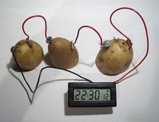 potato battery pics 06
