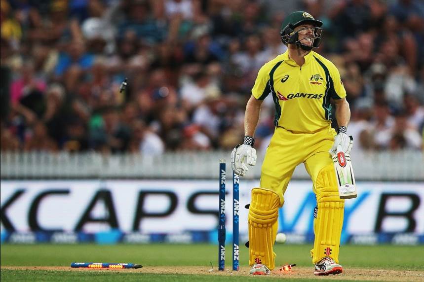 cricket