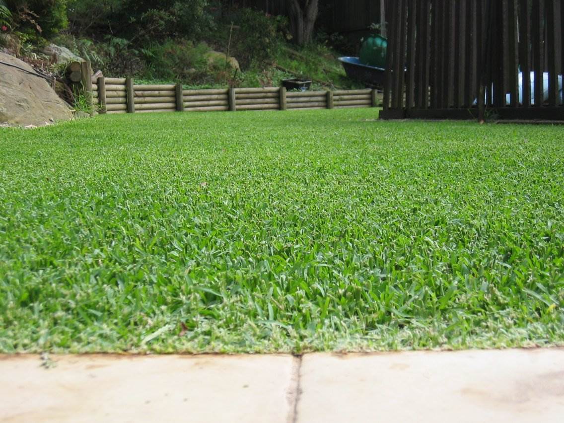 Flymo grass