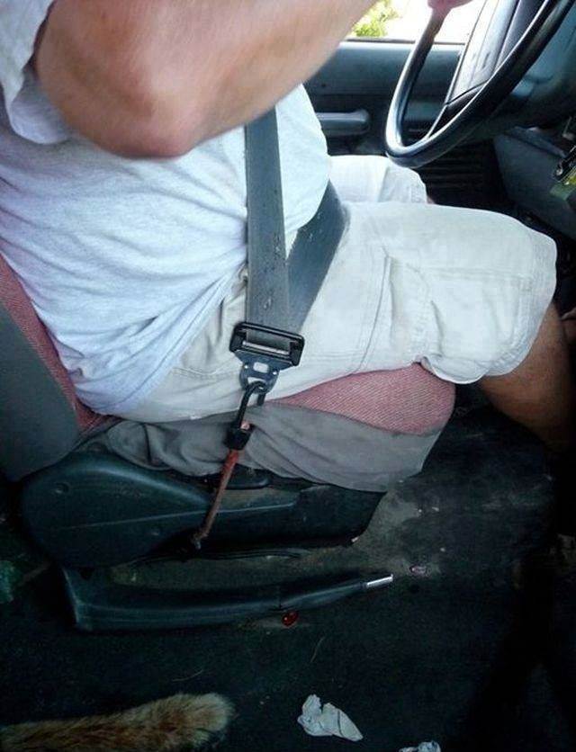 Seat belt bungy