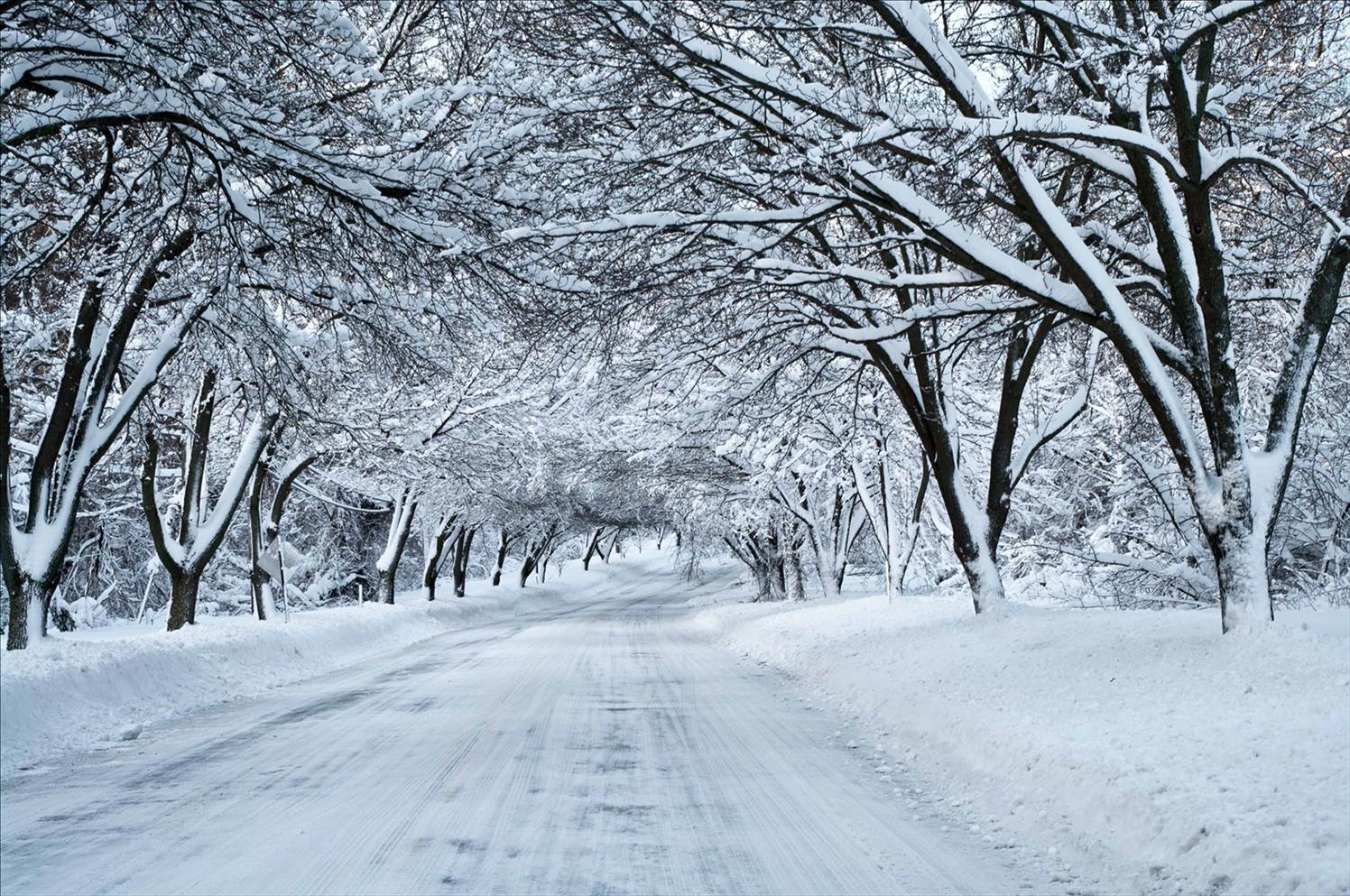 snow-7
