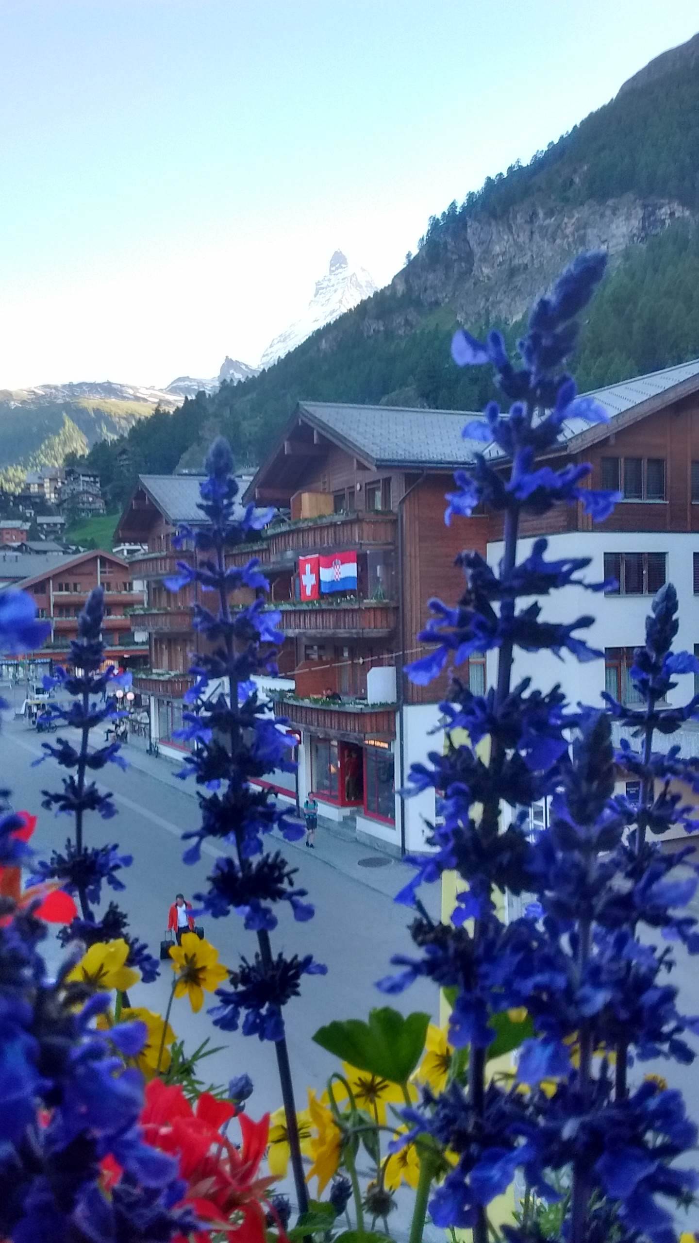 Flowerbox Matterhorn