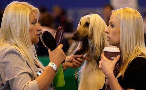 nice hair