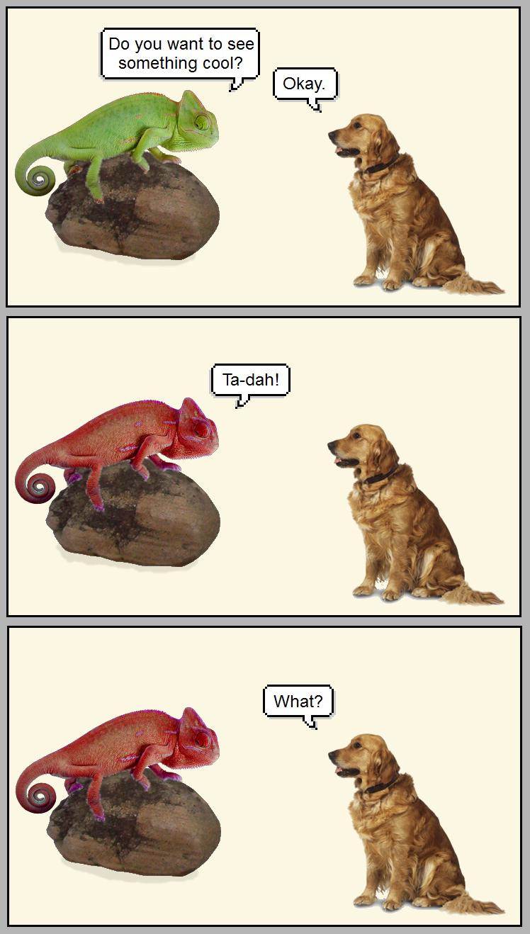 wRuLNQ3