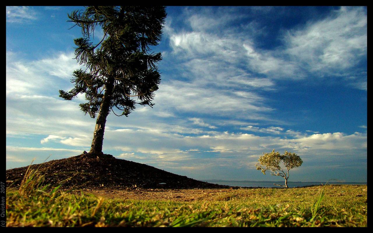 Wellington Point Sunset