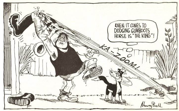 Murray Ball
