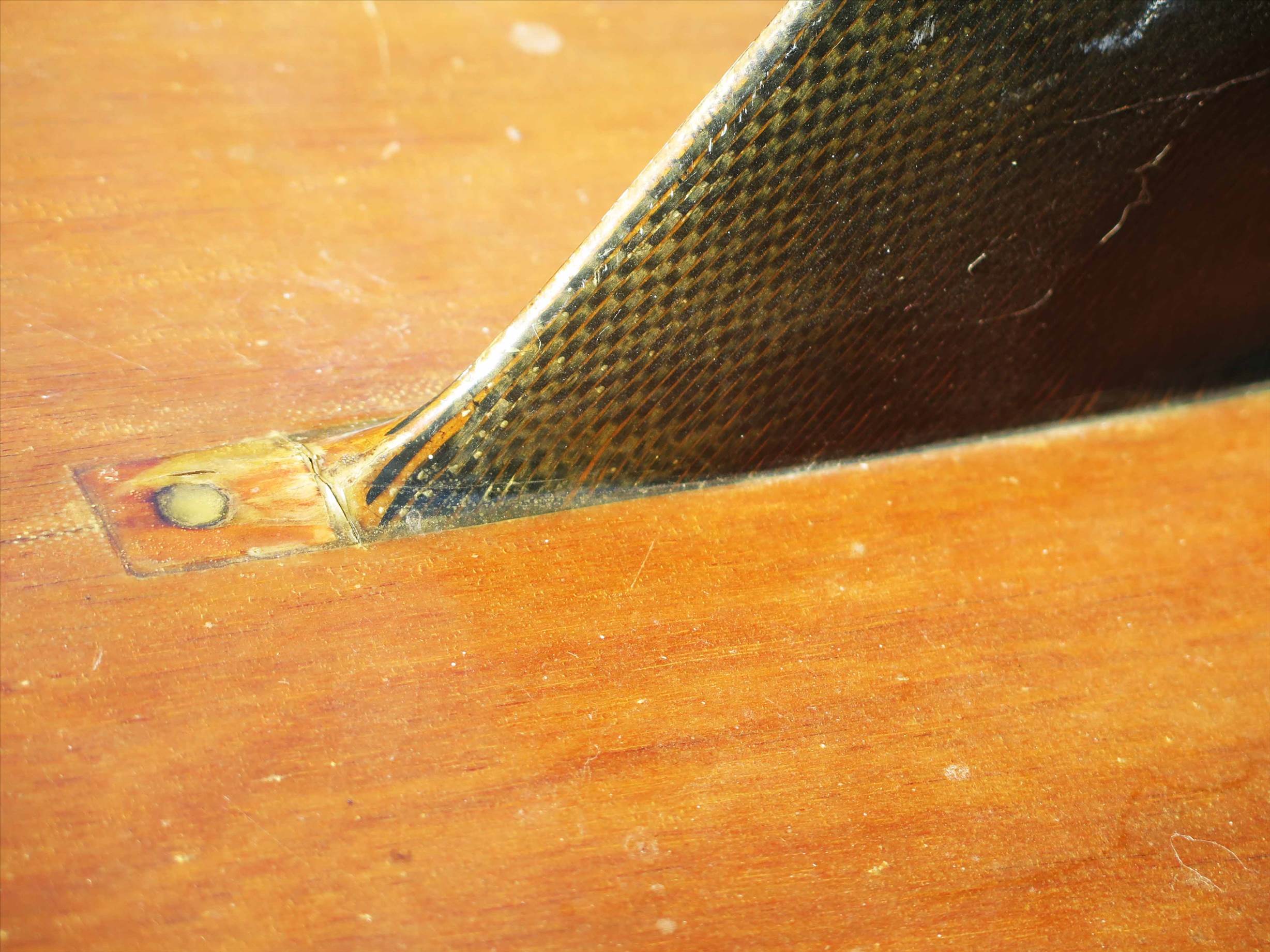 Barry's Fin