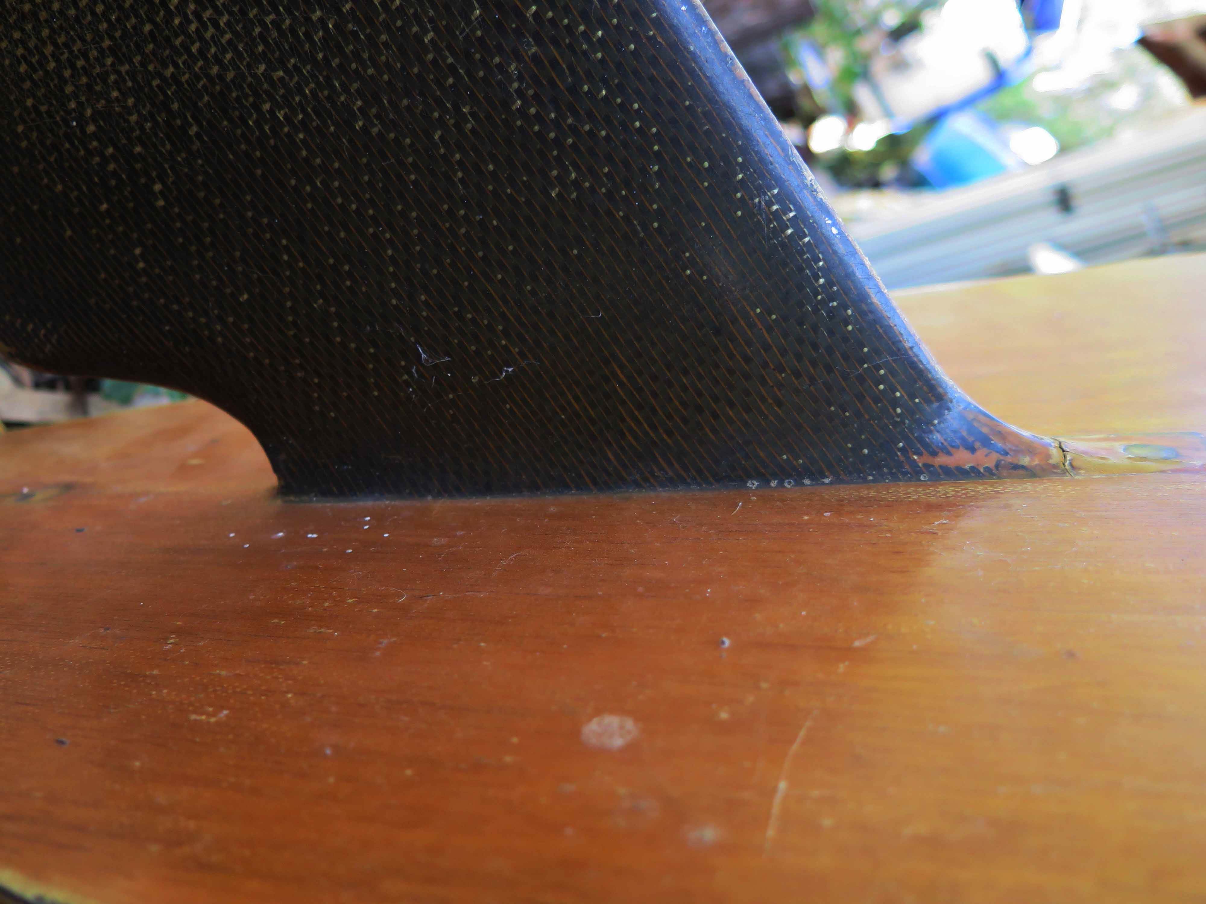 Barry's Fin