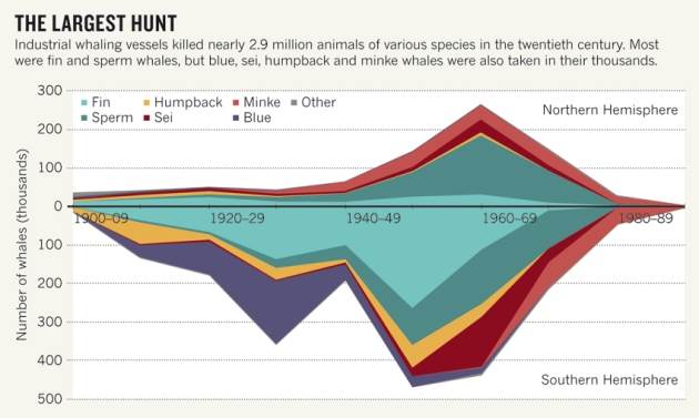 Whales