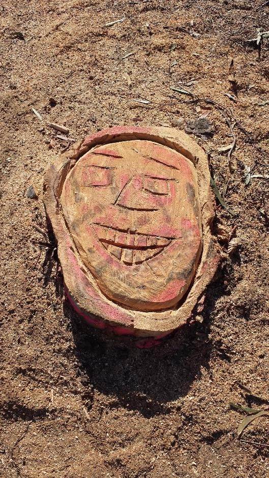 Tree Face