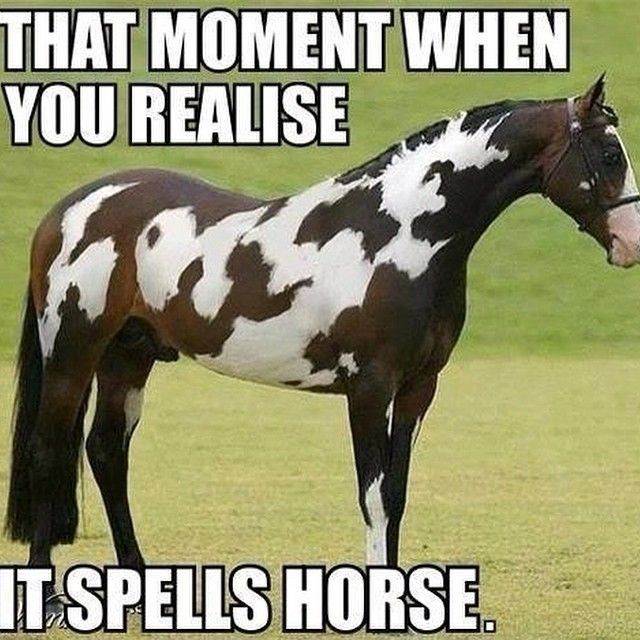 dd2fa22b2d7ff142993b3fa014d52b24--mind-blown-awkward-moments