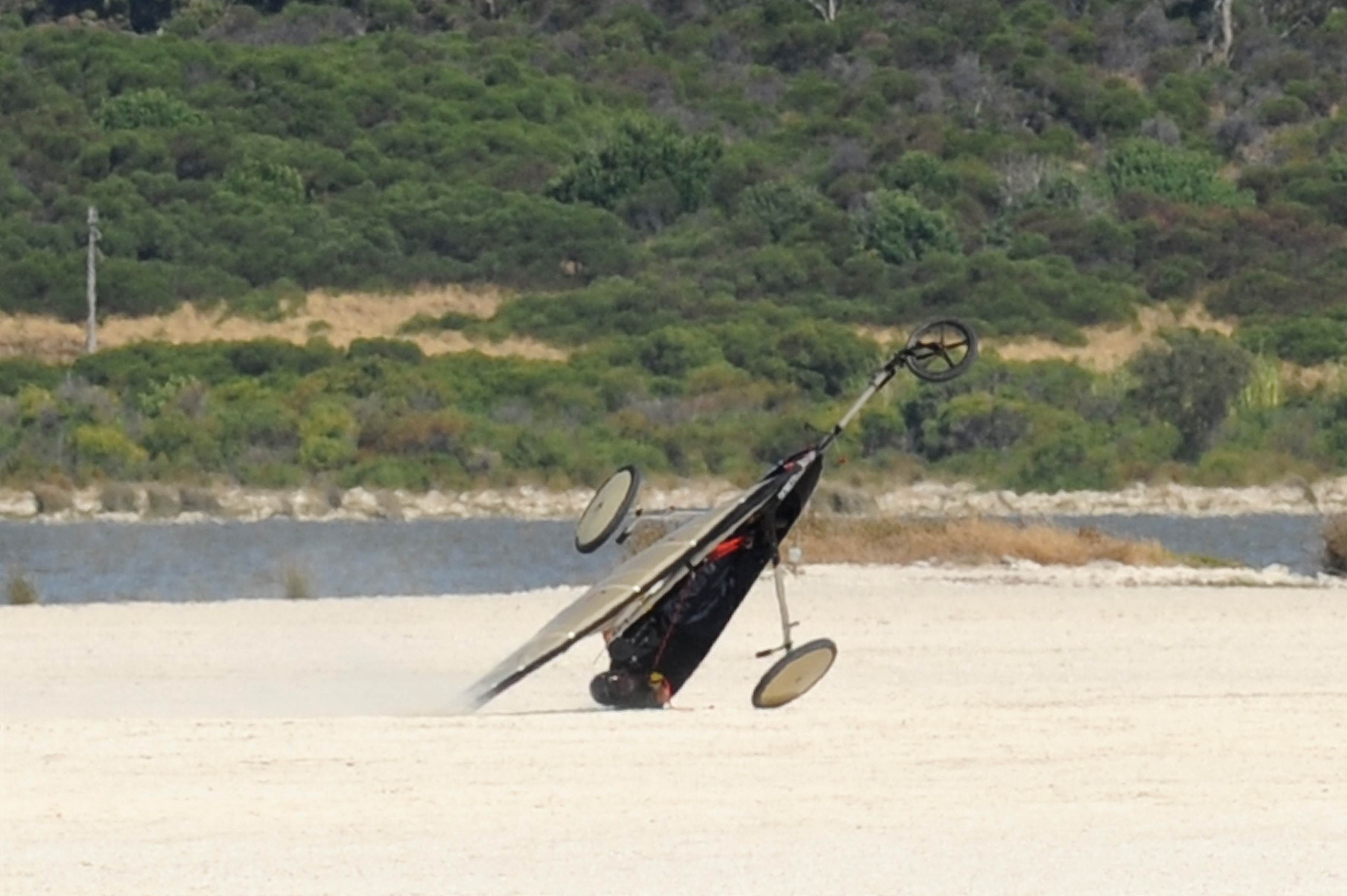 sandgropers