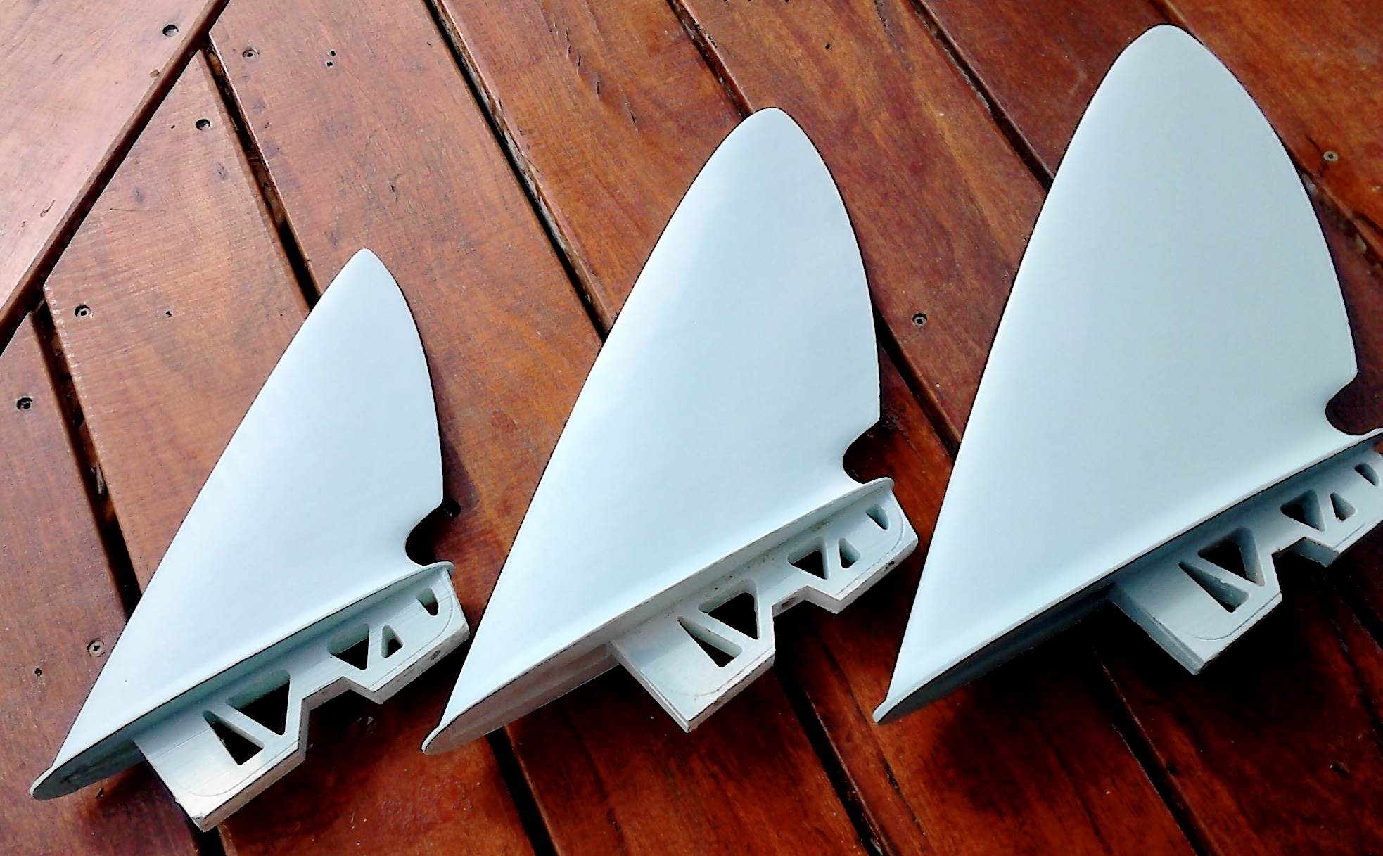 Fangyfins prints