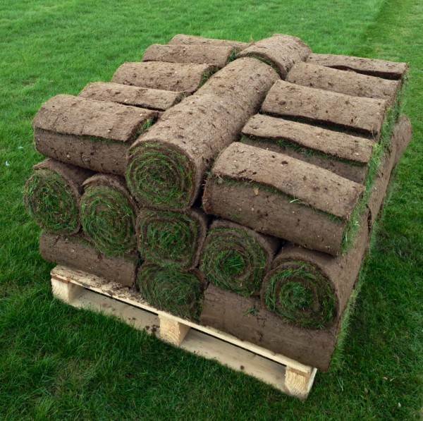 TURF5