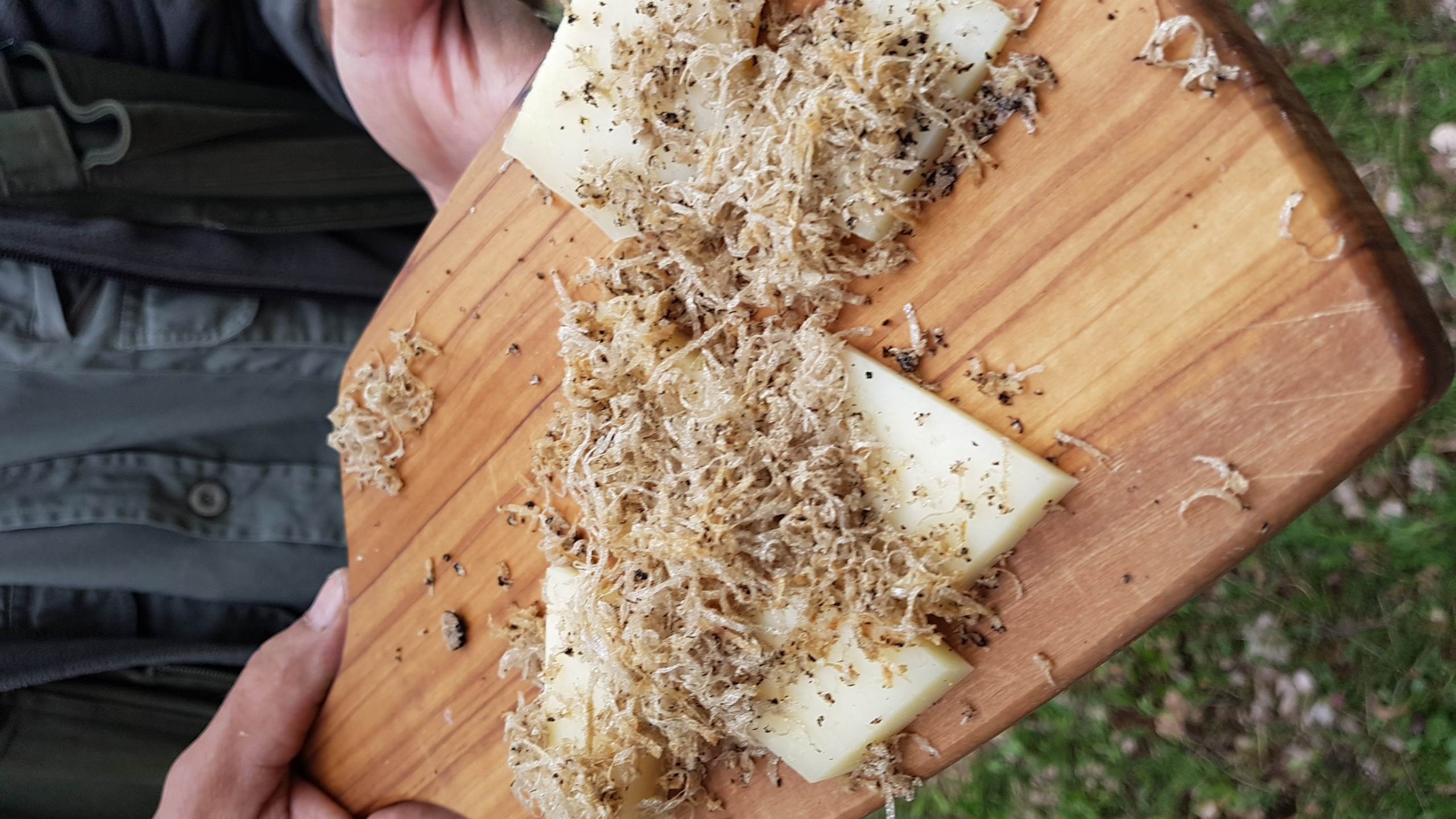 Truffles in Umbria