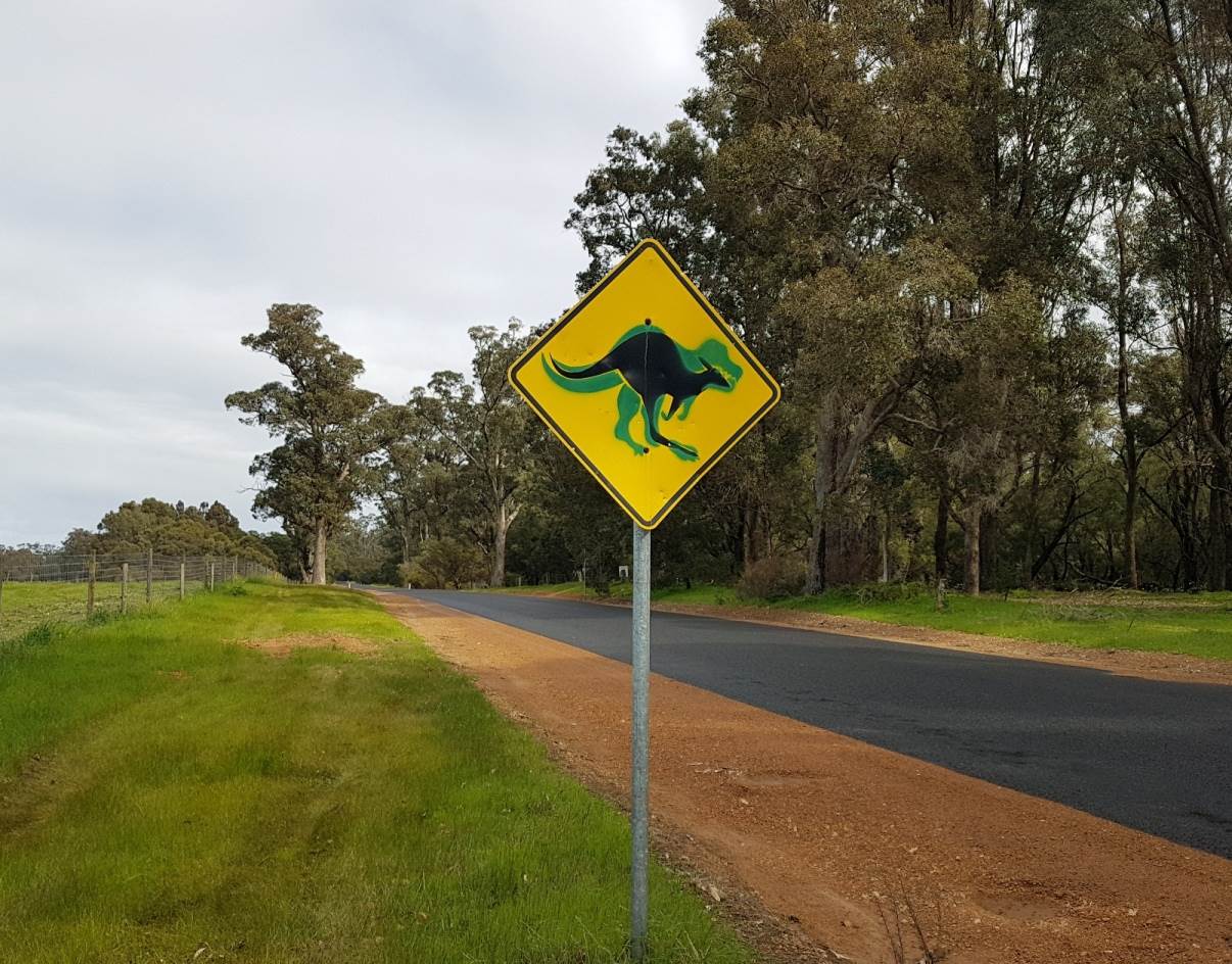 Kangaurous