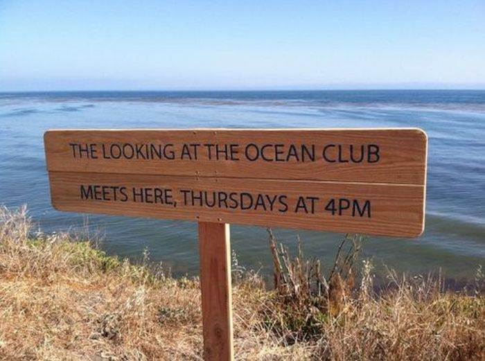 wtf signs 29