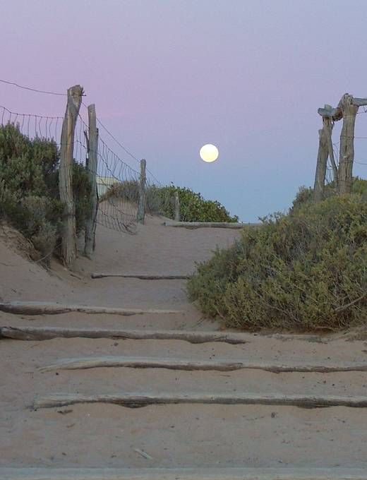 Moonrise