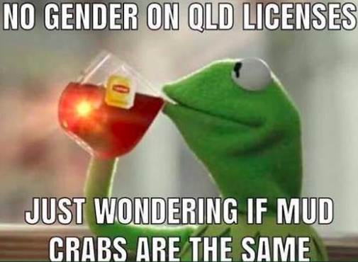 Crabs