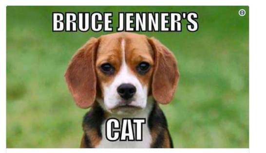 Screen Shot 2018-10-16 at 11.22.26 am