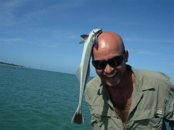 a remora with a wierd growth