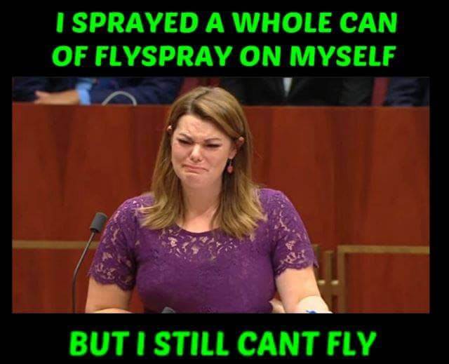SHY cant fly