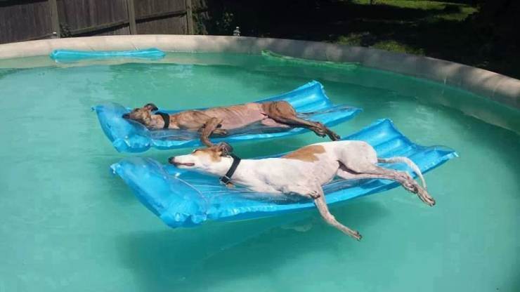 daily picdump 3202 640 16