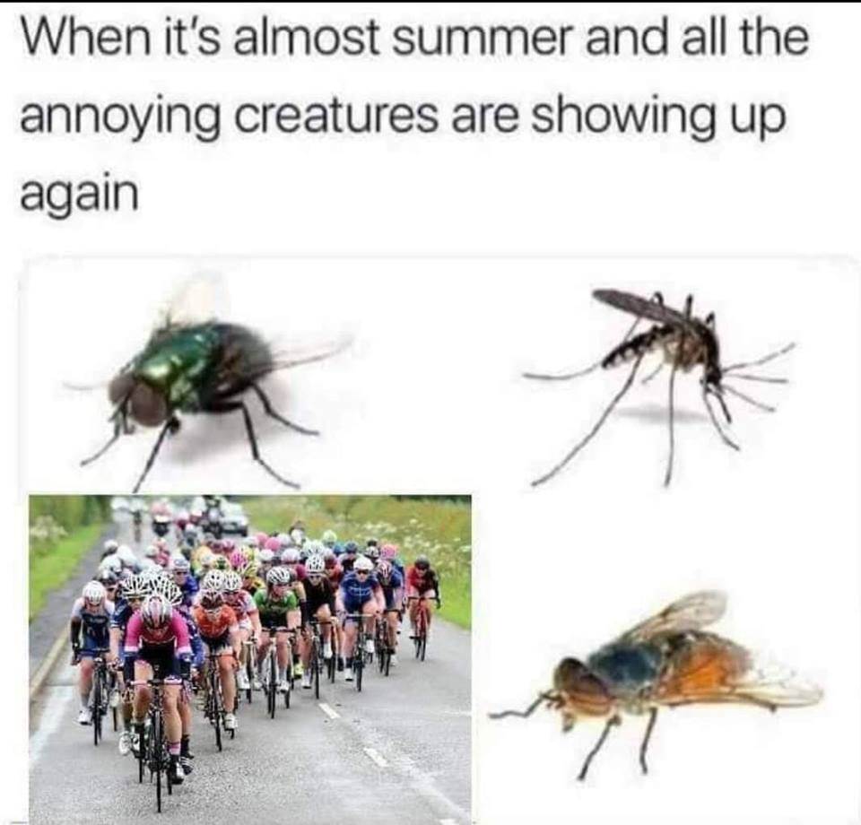 annoying
