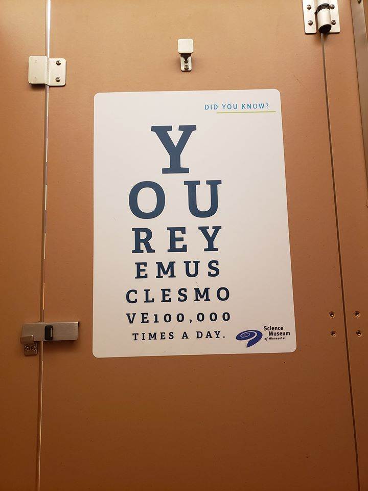 eye muscles
