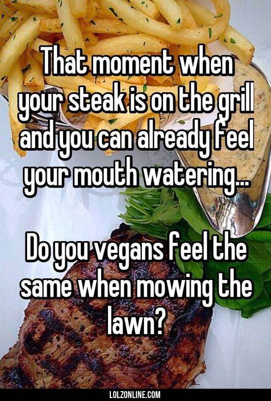 steak