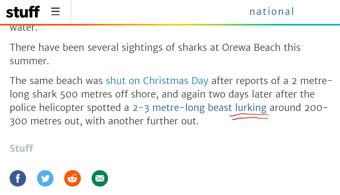 lurking shark