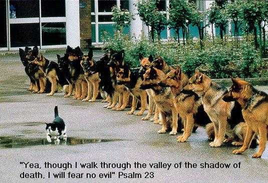 Bravery