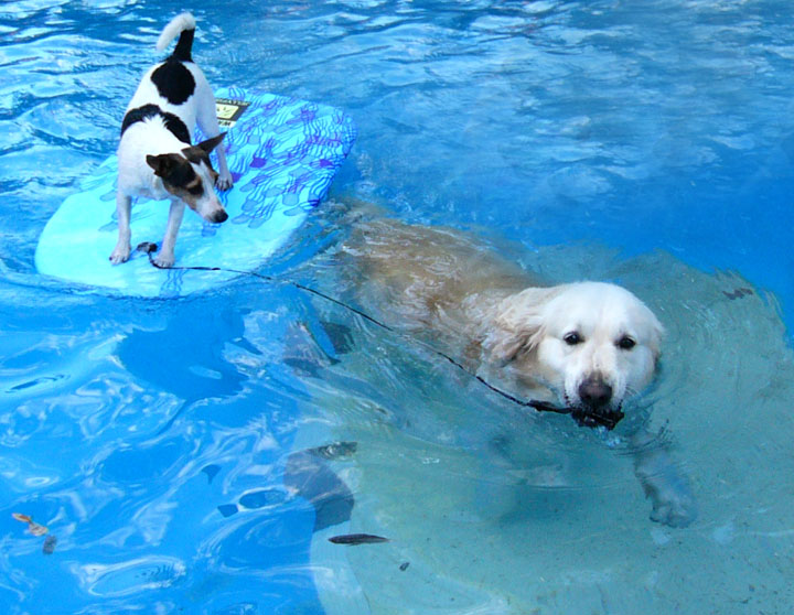 Rescue