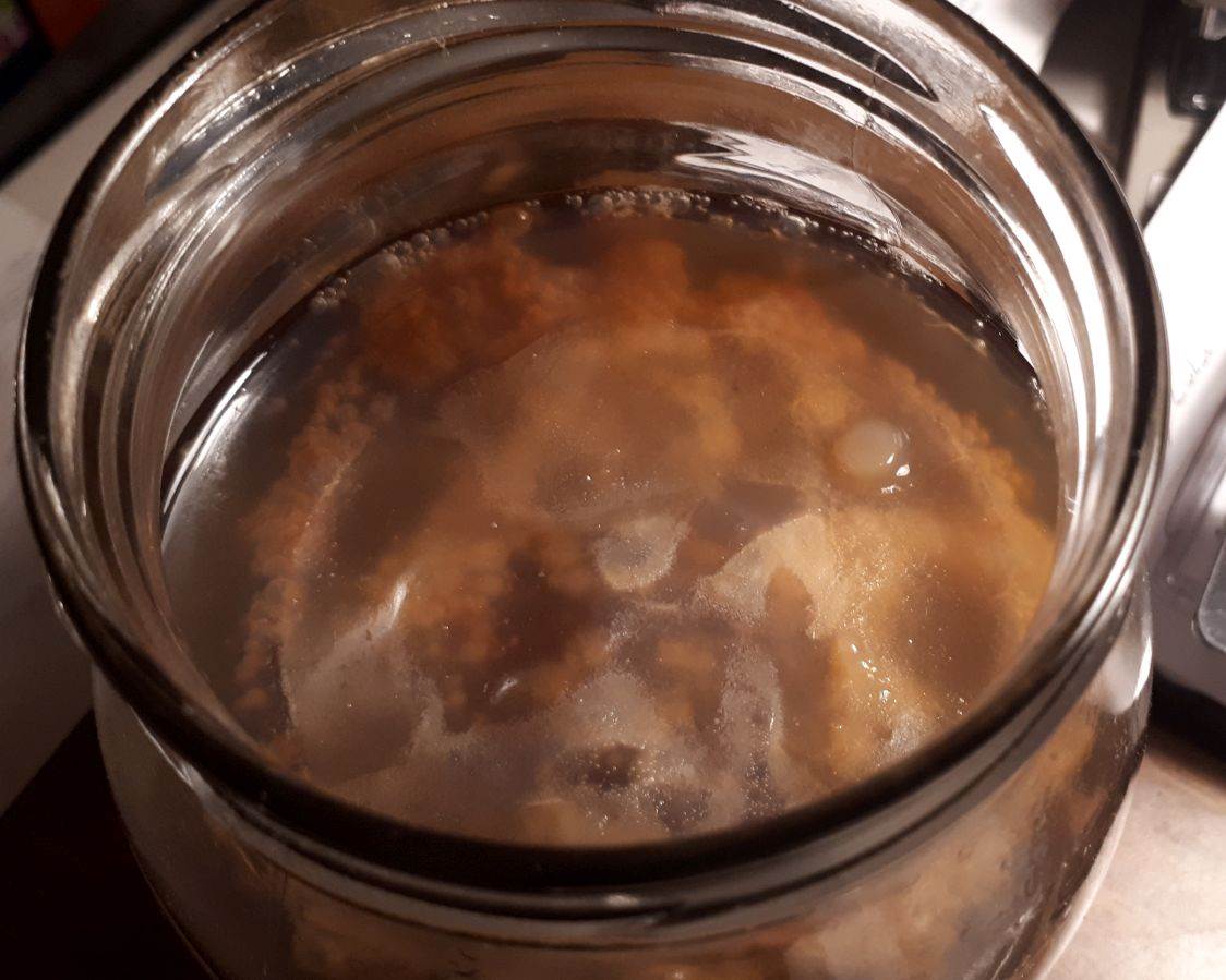 Kombucha 2