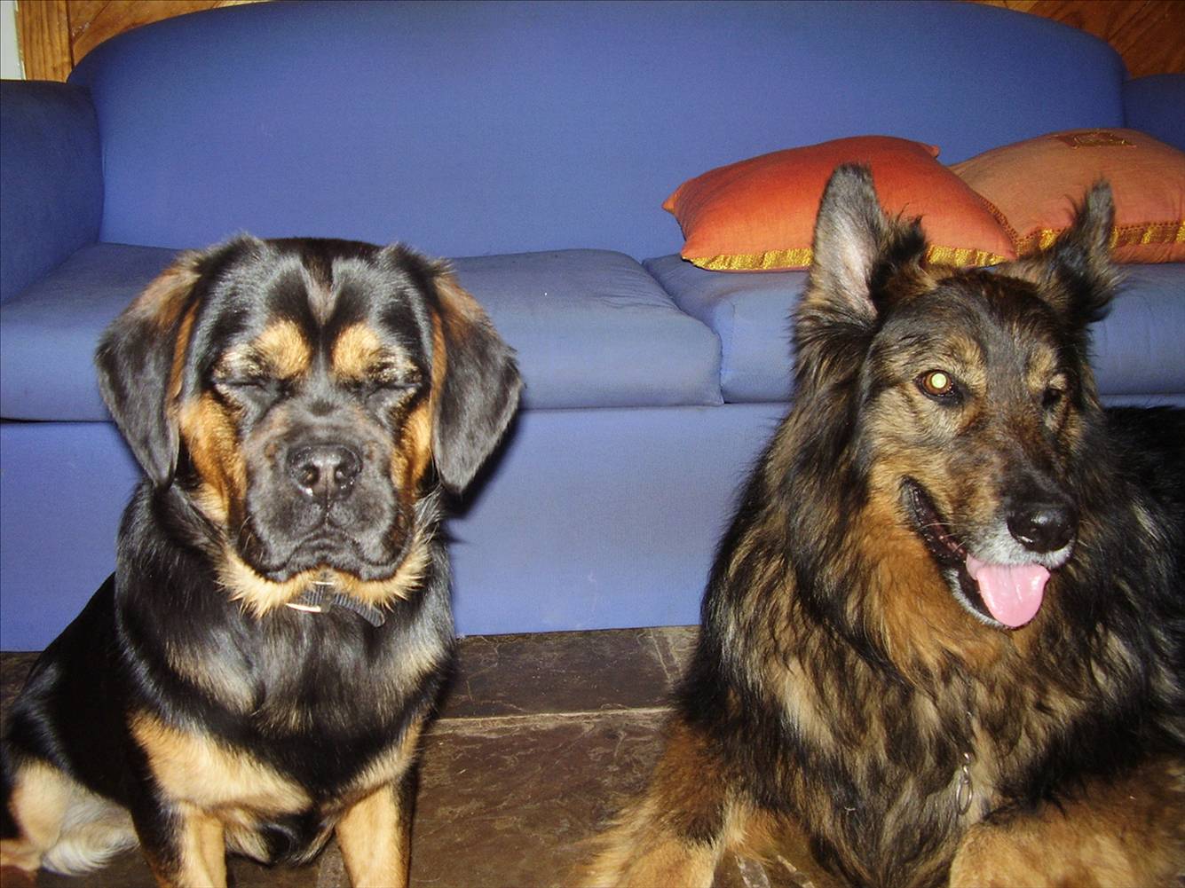 The boys