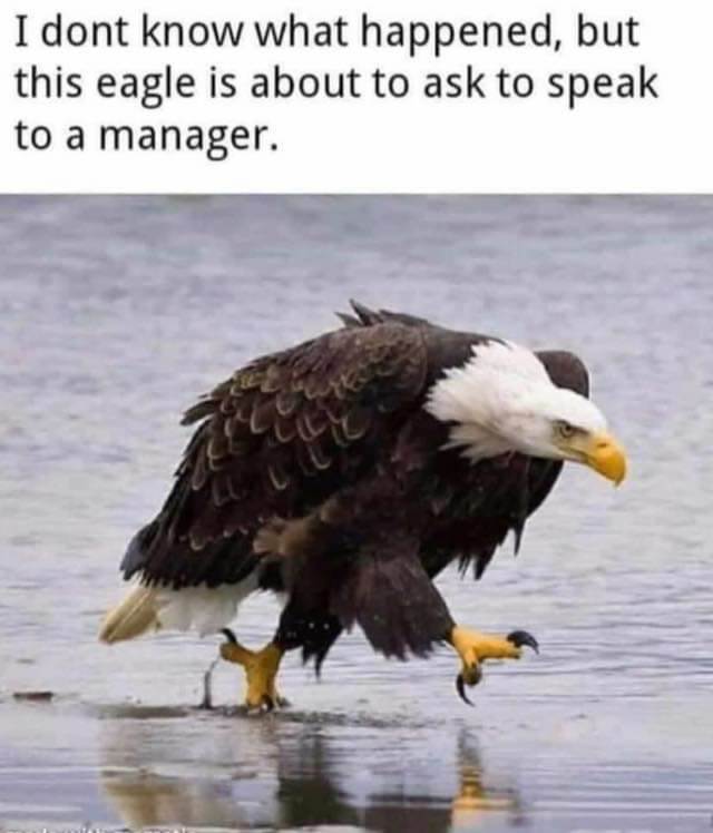 FBIMG1593950727858