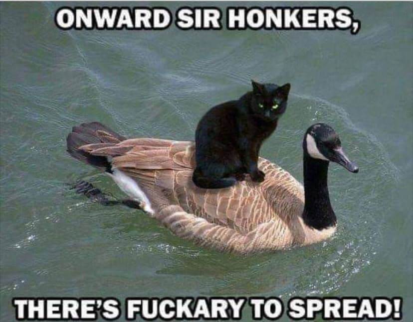 1a fucktary