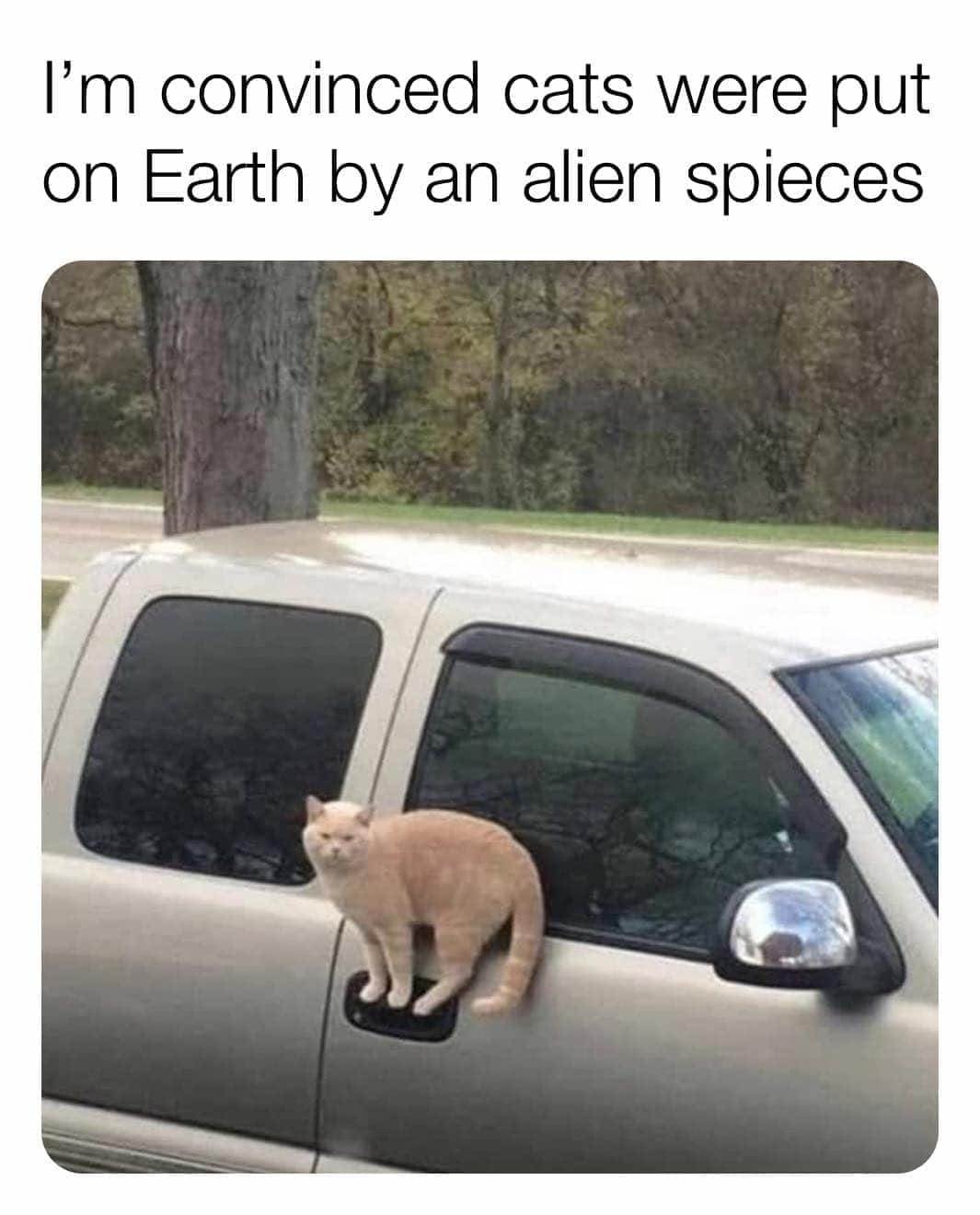 FBIMG1595274767105