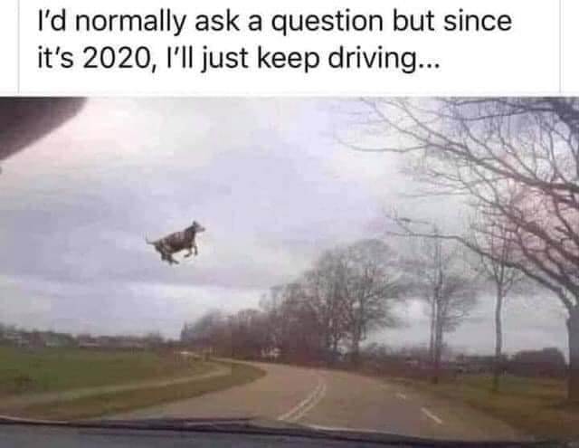 1a Cow